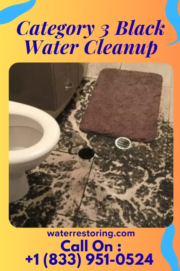 Category 3 Black Water Cleanup in Blacklick Estates, OH
