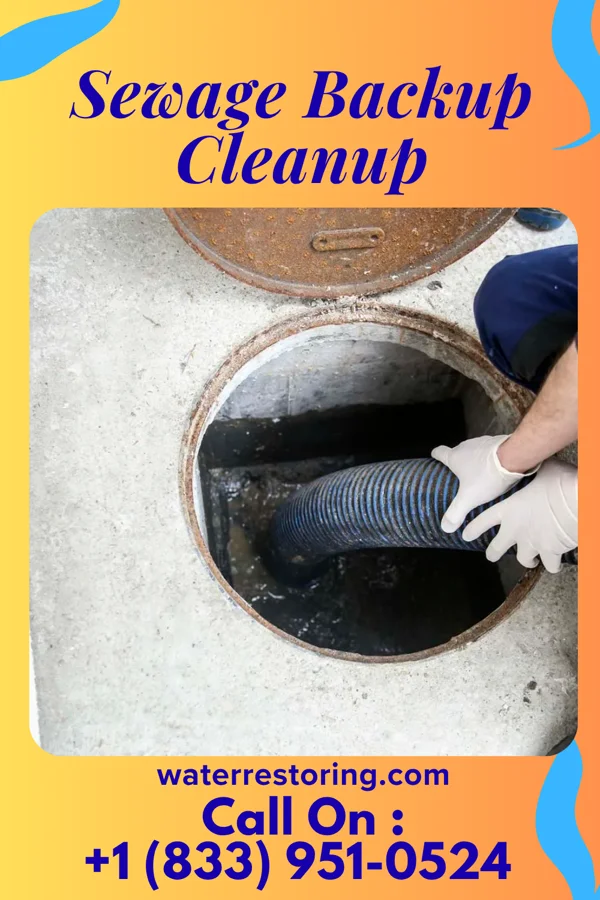 Sewage Backup Cleanup in Blacklick Estates, OH